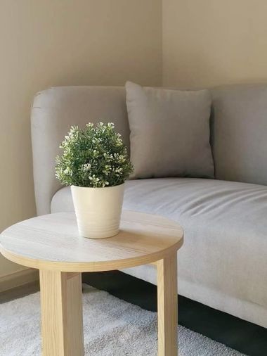 2-bed condo for rent, 47.2 sqm, The Parkland Charan - Pinklao