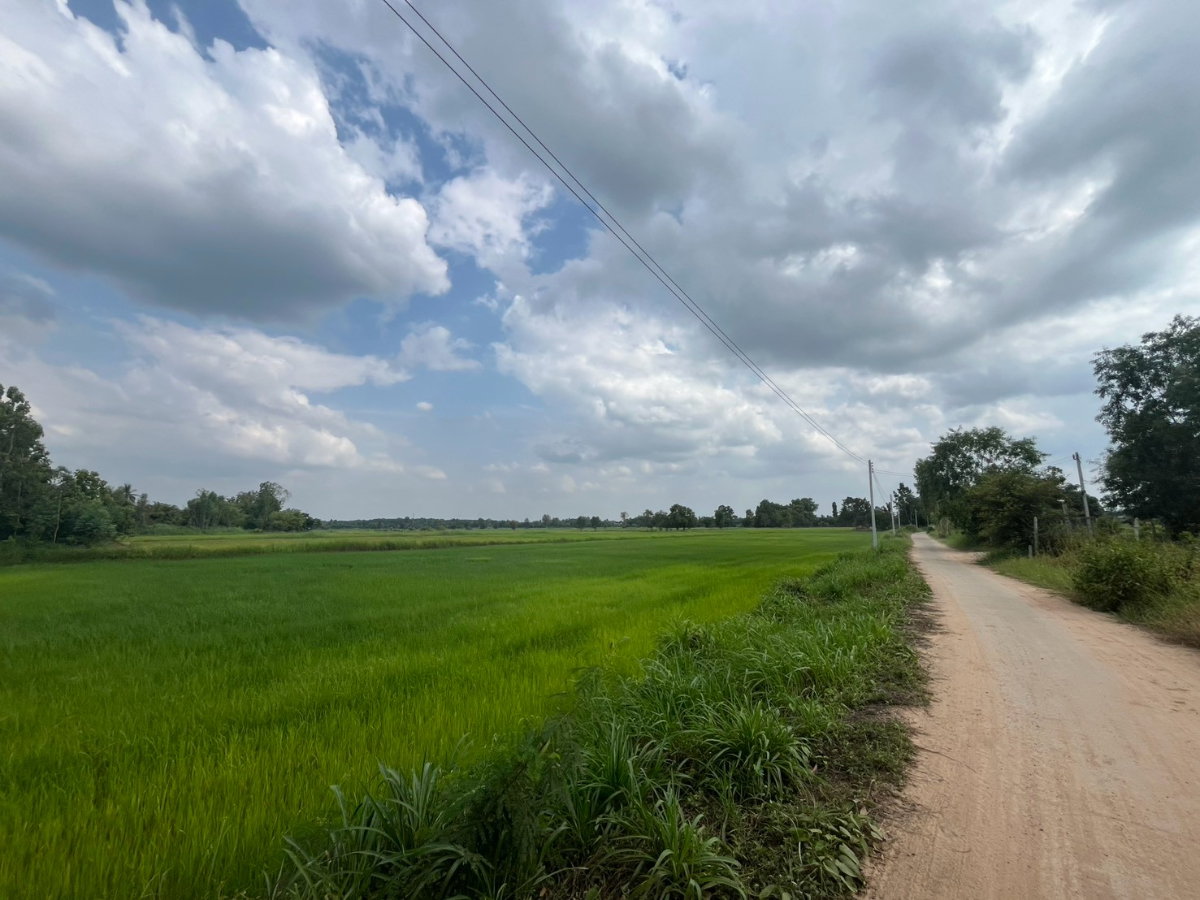 รูป ที่ดินแปลงสวย โฉนดครุฑแดง พร้อมโอน ด้านหน้าติดลำธารธรรมชาติ บรรยากาศเงียบสงบ เหมาะสำหรับบ้านสวน ทำเกษตร หรือสร้างบ้านพักยามเกษียณ - รูปที่ 6/10