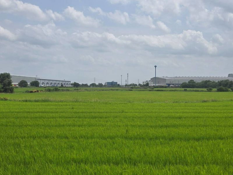 รูป ขายด่วนที่ดินทำเลทอง ศักยภาพสูง ติดถนนเส้นหลัก บางบัวทอง นนทบุรี - รูปที่ 9/18