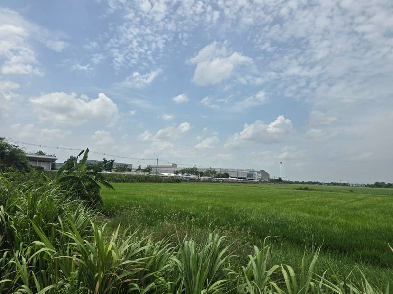 รูป ขายด่วนที่ดินทำเลทอง ศักยภาพสูง ติดถนนเส้นหลัก บางบัวทอง นนทบุรี - รูปที่ 12/18
