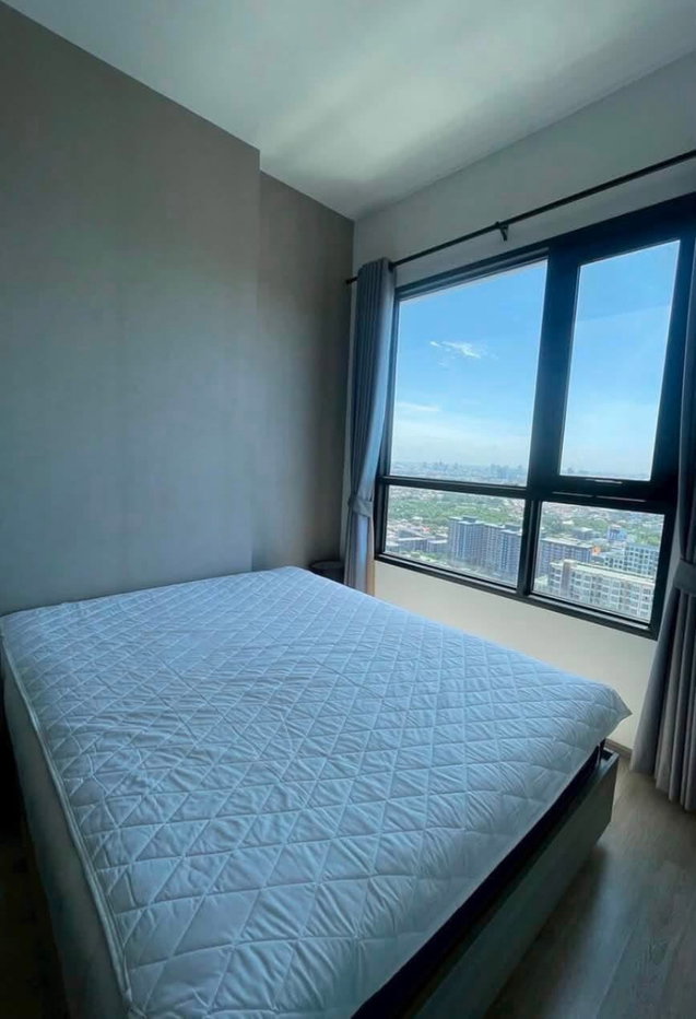 picture Knightsbridge Prime Onnut - 5/5