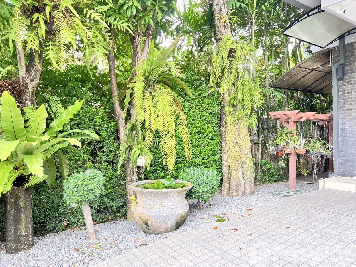 รูป บ้านเดี่ยวให้เช่า 3 ห้องนอน ในโครงการ โกลเดน นครา 6597647 - รูปที่ 4/18