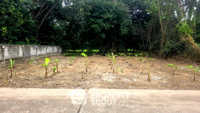 Land for sale : Land For Sale Nong Khwai Hang Dong Chiang Mai (ID 3100477)