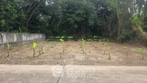 Land For Sale Nong Khwai Hang Dong Chiang Mai (ID 3100477)
