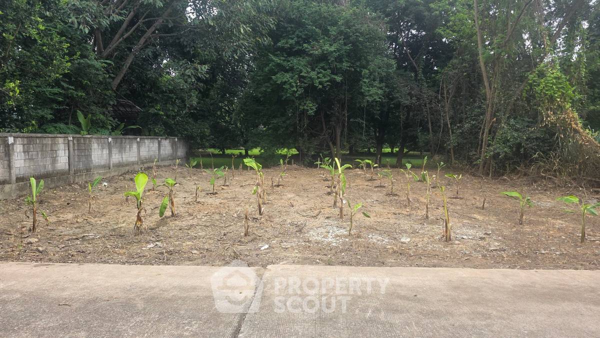 picture Land For Sale Nong Khwai Hang Dong Chiang Mai (ID 3100477) - 1/4
