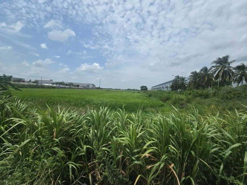 รูป ขายด่วนที่ดินทำเลทอง ศักยภาพสูง ติดถนนเส้นหลัก บางบัวทอง นนทบุรี - รูปที่ 14/18