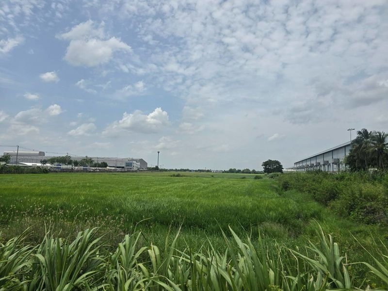 รูป ขายด่วนที่ดินทำเลทอง ศักยภาพสูง ติดถนนเส้นหลัก บางบัวทอง นนทบุรี - รูปที่ 13/18