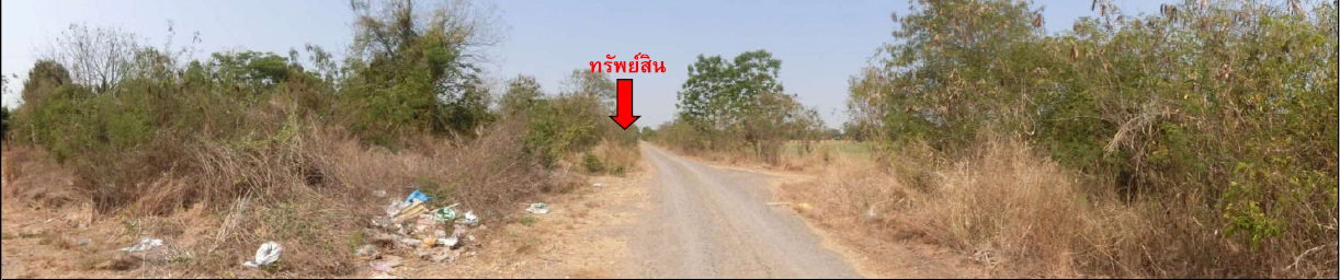 รูป ที่ดินพร้อมสิ่งปลูกสร้าง 35967 ตร.วา อำเภอลำปลายมาศ จังหวัดบุรีรัมย์ 26.8M - รูปที่ 8/15