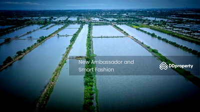 Land for sale Lat Krabang : Land for sale next to Siam Premium Outlet Bangkok Lat Krabang