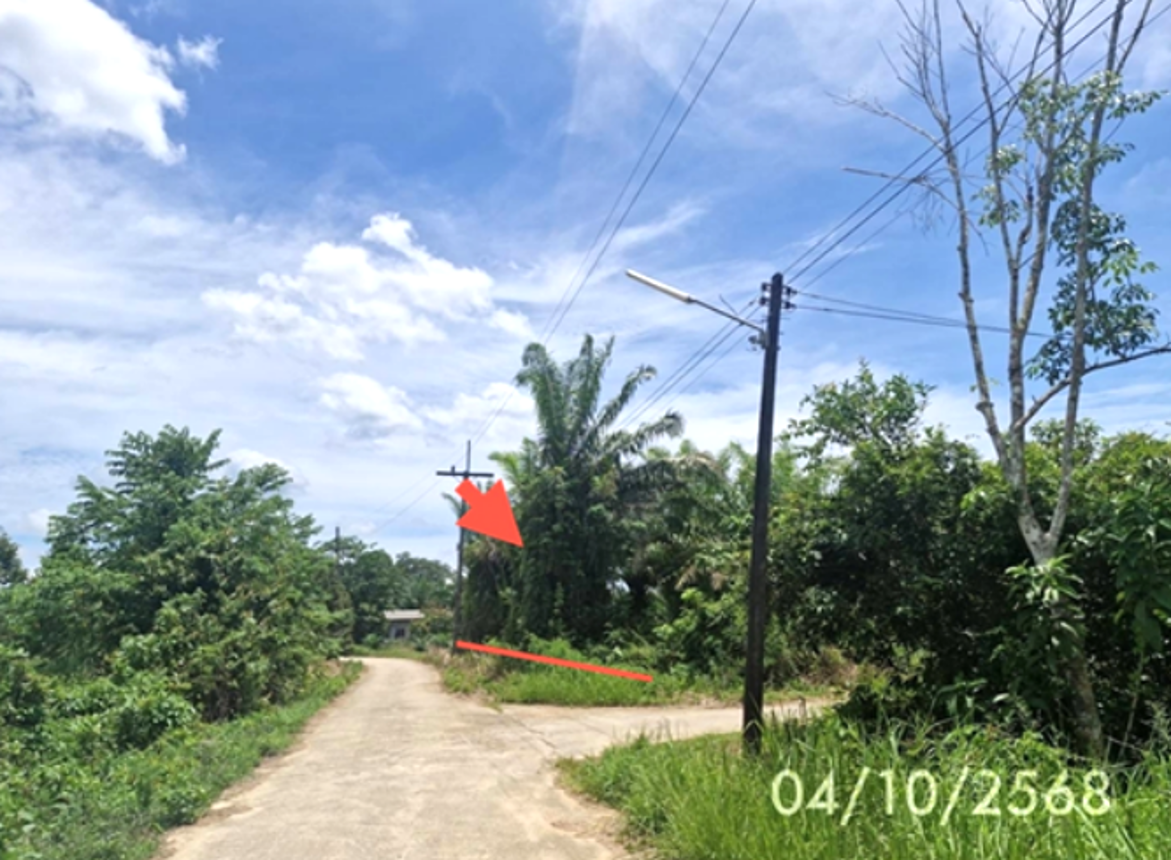 รูป ที่ดินว่างเปล่า 1323 ตร.วา ปะเหลียน ตรัง 1.3M - รูปที่ 12/19