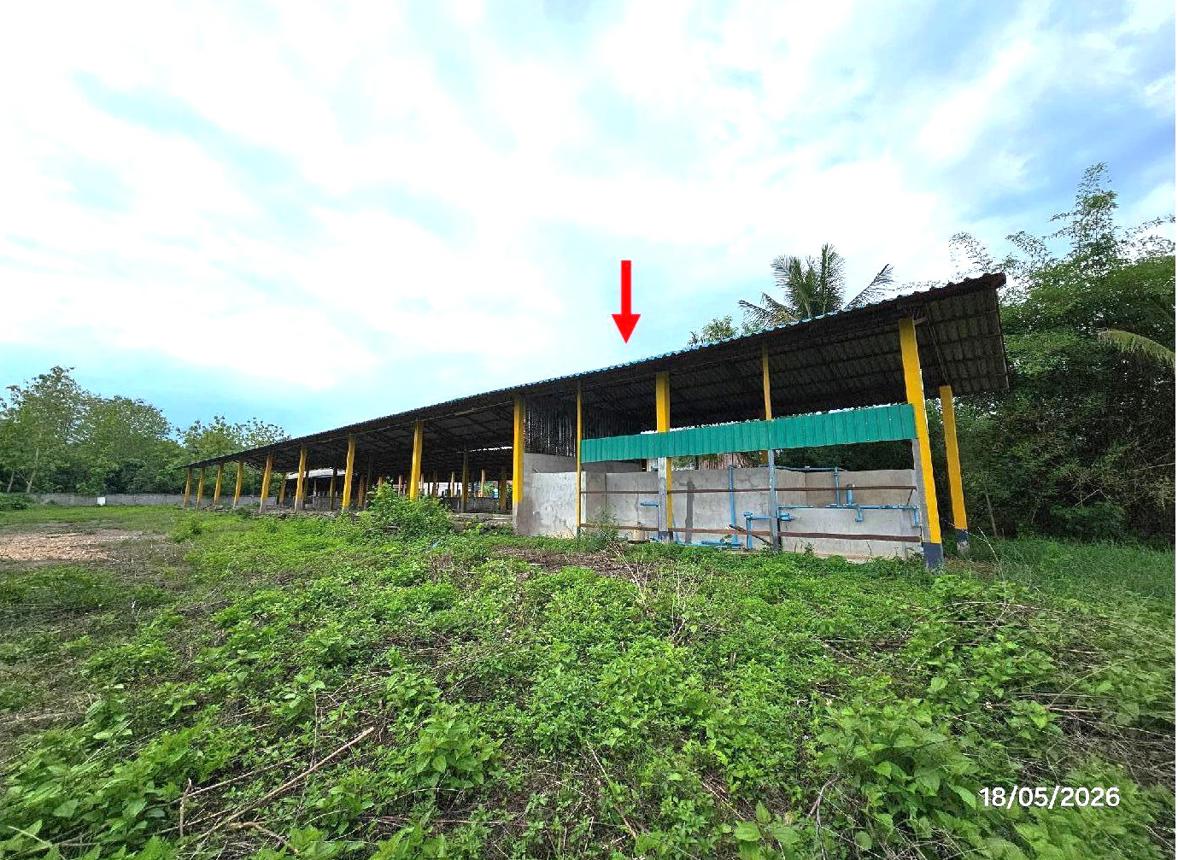 picture FACTORY 1701.4 Sq.w. Tha Wang Pha Nan for 14.4M - 31/38