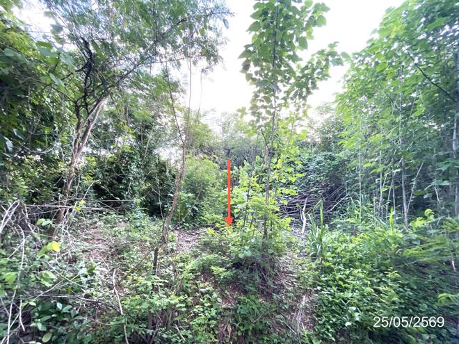 รูป ที่ดินว่างเปล่า 2134.8 ตร.วา วิเชียรบุรี เพชรบูรณ์ 5.6M - รูปที่ 8/30