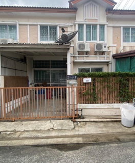 For Sale Townhouse/Townhome  , Pruksa Ville 16 Rangsit - Ongkharak , Pracha Thipat , Thanyaburi , Pathum Thani , CX-164268 ✅ Live chat with us ADD LINE @connexproperty ✅
