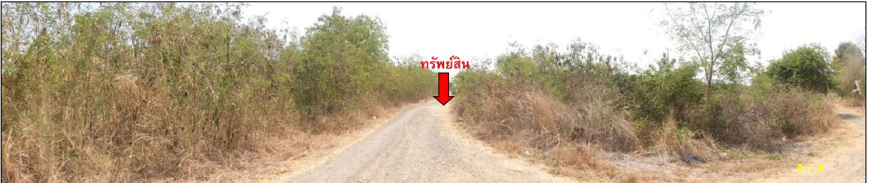 รูป ที่ดินพร้อมสิ่งปลูกสร้าง 35967 ตร.วา อำเภอลำปลายมาศ จังหวัดบุรีรัมย์ 26.8M - รูปที่ 7/15