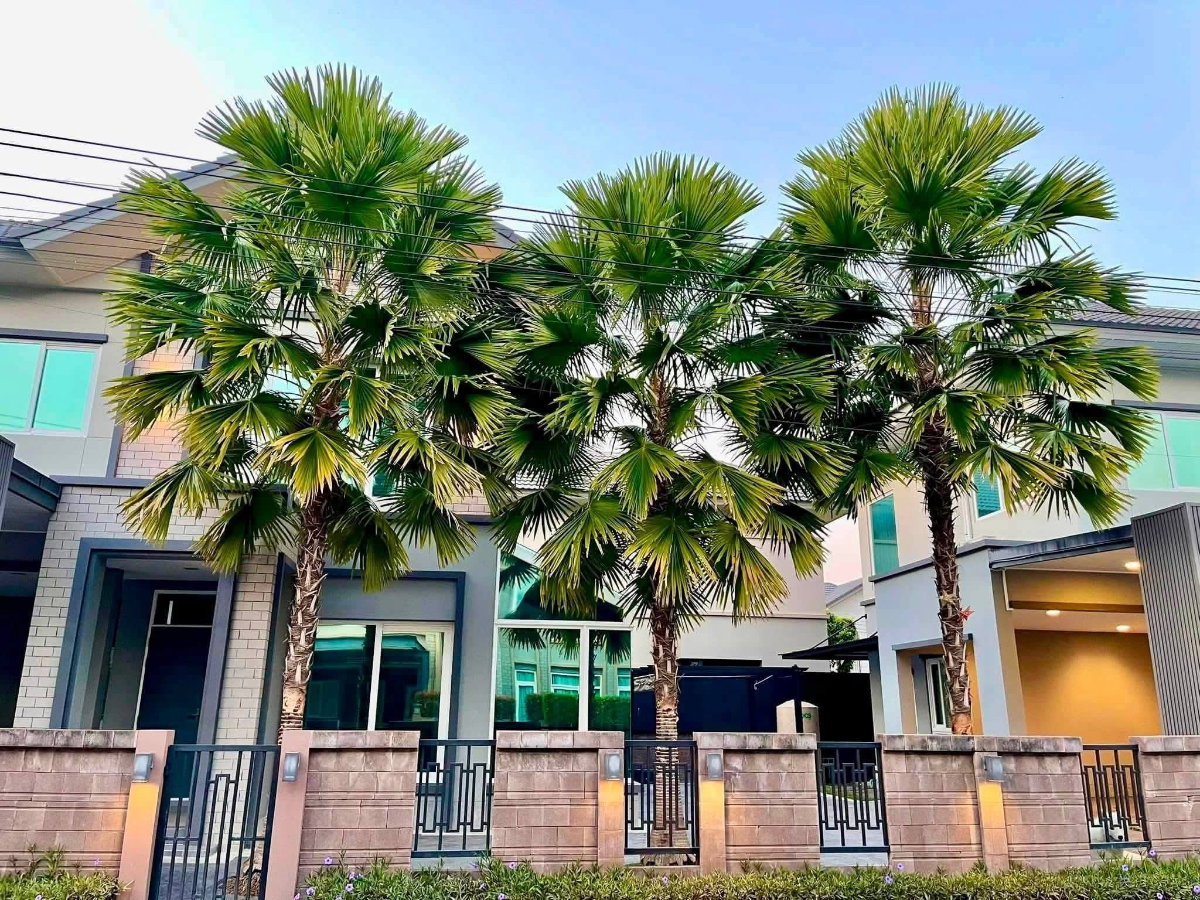 picture For rent: Laddarom Elegance Condo, 130 sq.wa., fully furnished and ready to move in. - 22/26