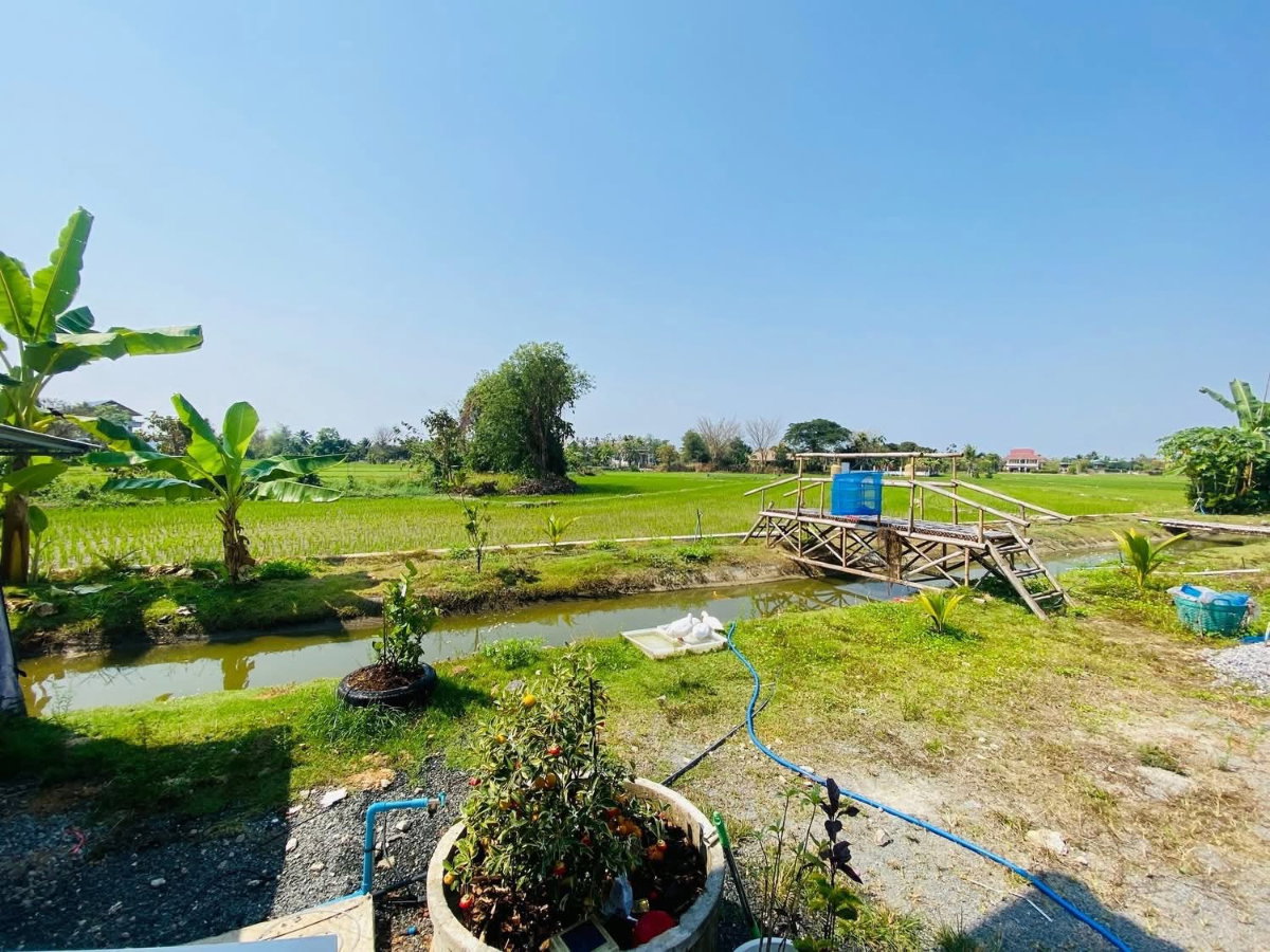 รูป บ้านสวยทำเลดี วิวธรรมชาติ บรรยากาศเงียบสงบ พร้อมอยู่ (อ.ดอยสะเก็ด) T. 063-6649056 - รูปที่ 16/23