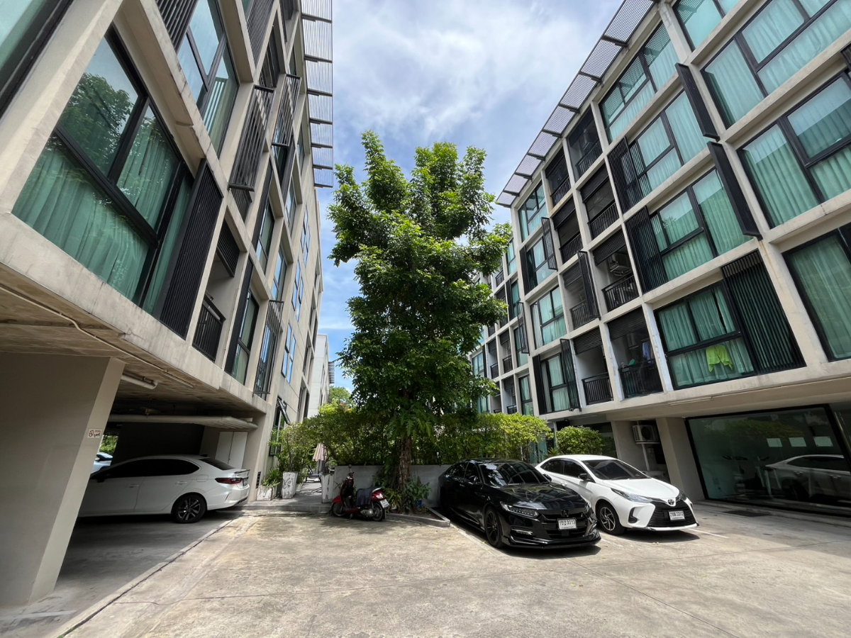 รูป ขาย Abstracts Sukhumvit 66/1 (แอ็บสแตร็กส์ สุขุมวิท 66/1) คอนโดอารมณ์บ้านสวน ใจกลางสุขุมวิท ใกล้ BTS อุดมสุข ห้องใหญ่ อยู่สบายจริง! - รูปที่ 11/13