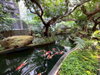 listing thumbnail image 10