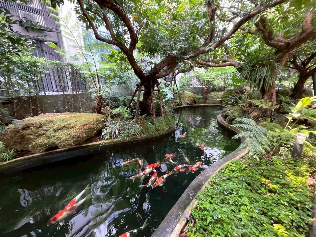รูป 🍃 ให้เช่าคอนโด Duplex Room ห้องแบบ 2 ชั้น ทำเลดีมาก เดินทางสะดวก ติดเซ็นทรัลเชียงใหม่ ใกล้ Supermarket ร้านสะดวกซื้อ และอื่นๆอีกมากมาย - รูปที่ 11/12