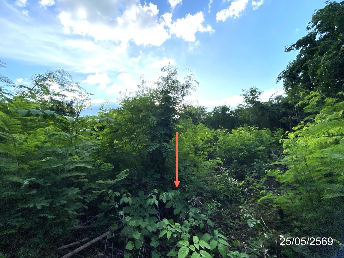 รูป ที่ดินว่างเปล่า 2134.8 ตร.วา วิเชียรบุรี เพชรบูรณ์ 5.6M - รูปที่ 20/30