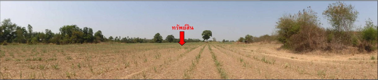 รูป ที่ดินพร้อมสิ่งปลูกสร้าง 35967 ตร.วา อำเภอลำปลายมาศ จังหวัดบุรีรัมย์ 26.8M - รูปที่ 10/15