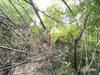 listing thumbnail image 25