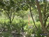 listing thumbnail image 10