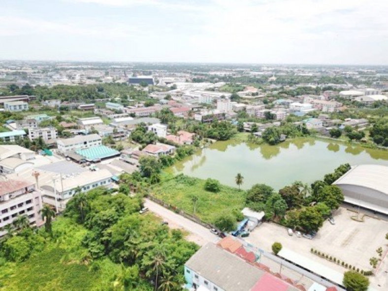 รูป ขายที่ดินริมทะเลสาบ ซอยหมอศรี สามพราน 621 ตร.ว. ทำเลสวย เหมาะสร้างบ้าน ร้านอาหาร คาเฟ่ หรือธุรกิจริมน้ำ - รูปที่ 3/8