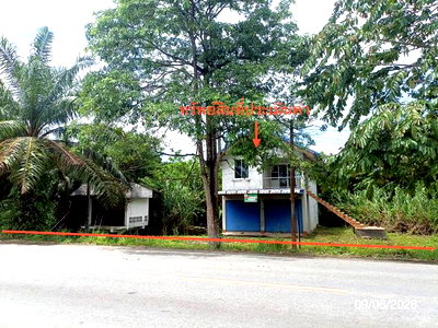 บ้านเดี่ยว 126.4 ตร.วา นาบอน นครศรีธรรมราช 1.9M