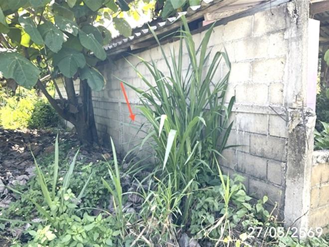 picture HOME 972 Sq.w. Phaya Mengrai Chiang Rai for 4.6M - 12/38