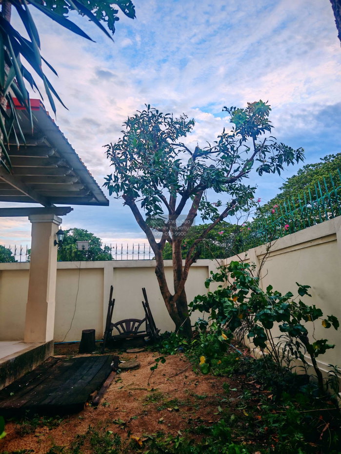 รูป เช่าบ้าน ภัสสร 7 ดิ อิลิแกนซ์ รัตนาธิเบศร์ วิวสวย บางรักใหญ่ บางบัวทอง นนทบุรี CX-165494 ✅ ทักไลน์ @connexproperty ตอบทันที ทีมงานมืออาชีพ ✅ - รูปที่ 3/9