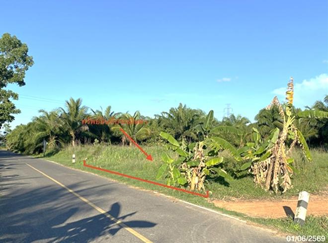รูป ที่ดินว่างเปล่า 163.4 ตร.วา รัตภูมิ สงขลา 1.2M - รูปที่ 2/16