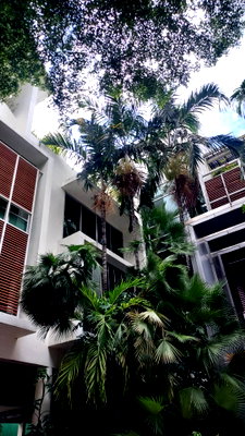 Office for sale J Avenue Thonglor : LTH15975 - Premium Office Building for Sale Asoke, Sukhumvit 2X | 350 MB