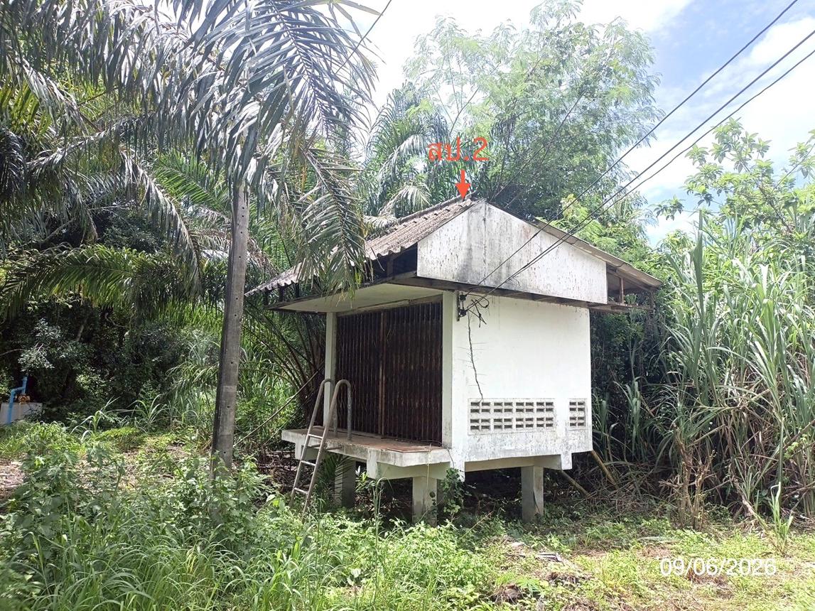 รูป บ้านเดี่ยว 126.4 ตร.วา นาบอน นครศรีธรรมราช 1.9M - รูปที่ 31/36