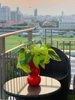 listing thumbnail image 9