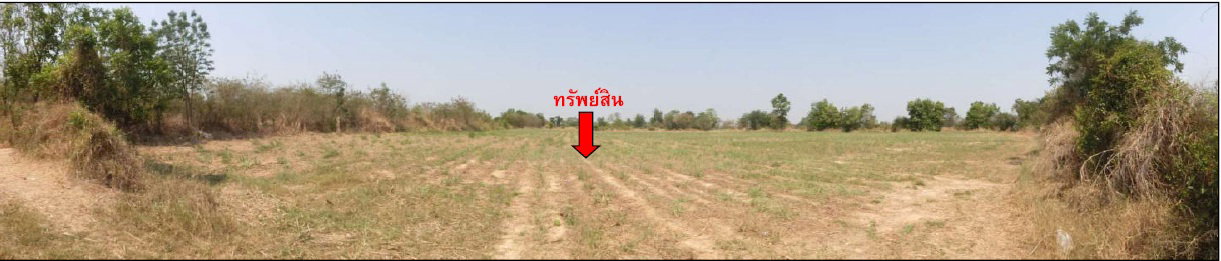 รูป ที่ดินพร้อมสิ่งปลูกสร้าง 35967 ตร.วา อำเภอลำปลายมาศ จังหวัดบุรีรัมย์ 26.8M - รูปที่ 9/15
