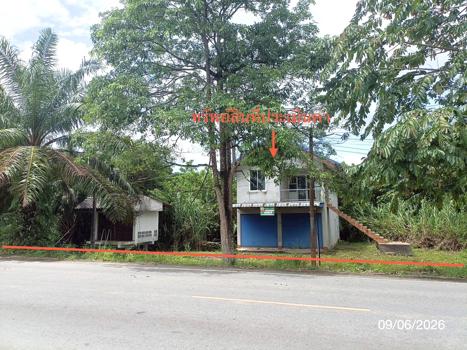 รูป บ้านเดี่ยว 126.4 ตร.วา นาบอน นครศรีธรรมราช 1.9M - รูปที่ 33/36