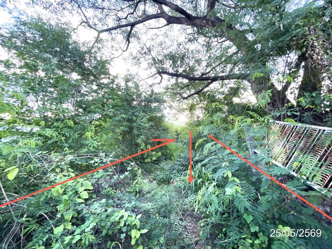 รูป ที่ดินว่างเปล่า 2134.8 ตร.วา วิเชียรบุรี เพชรบูรณ์ 5.6M - รูปที่ 3/30
