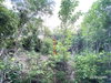 listing thumbnail image 20