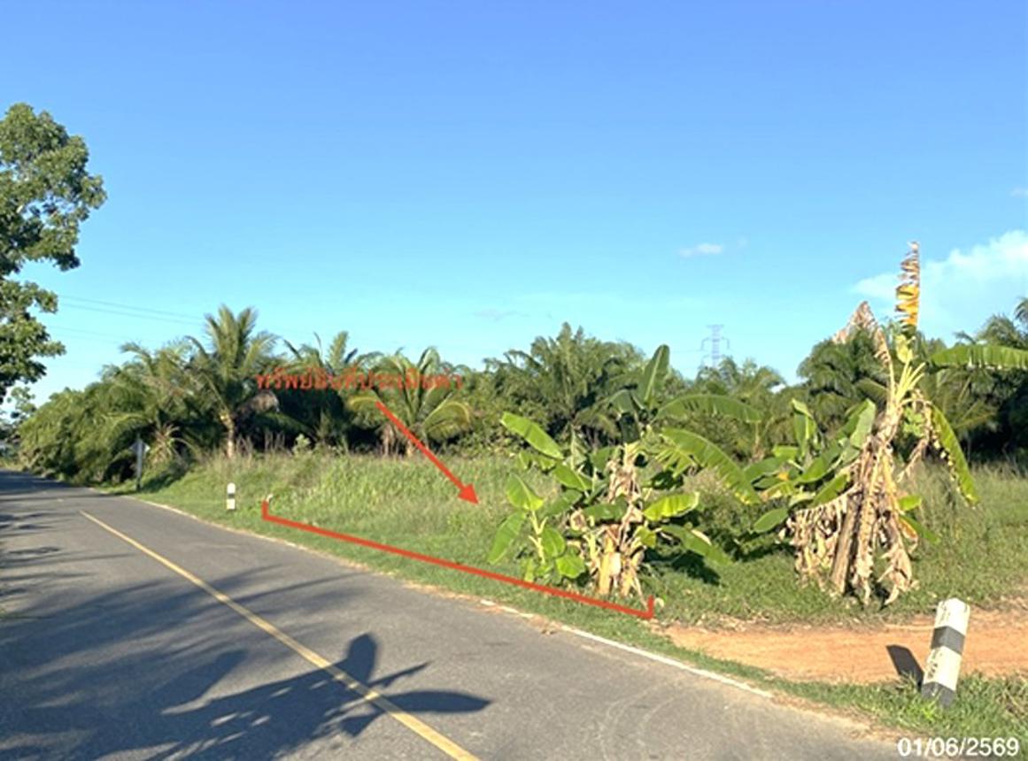 รูป ที่ดินว่างเปล่า 163.4 ตร.วา รัตภูมิ สงขลา 1.2M - รูปที่ 8/16