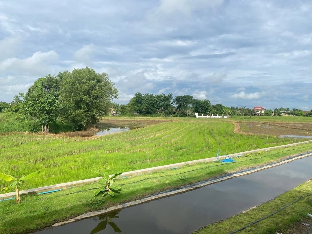 รูป บ้านสวยทำเลดี วิวธรรมชาติ บรรยากาศเงียบสงบ พร้อมอยู่ (อ.ดอยสะเก็ด) T. 063-6649056 - รูปที่ 4/23