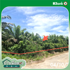 listing thumbnail image 16