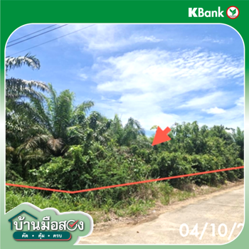 รูป ที่ดินว่างเปล่า 1323 ตร.วา ปะเหลียน ตรัง 1.3M - รูปที่ 17/19