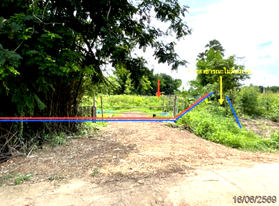ขายที่ดิน : ที่ดินว่างเปล่า 181 ตร.วา กบินทร์บุรี ปราจีนบุรี 453,000