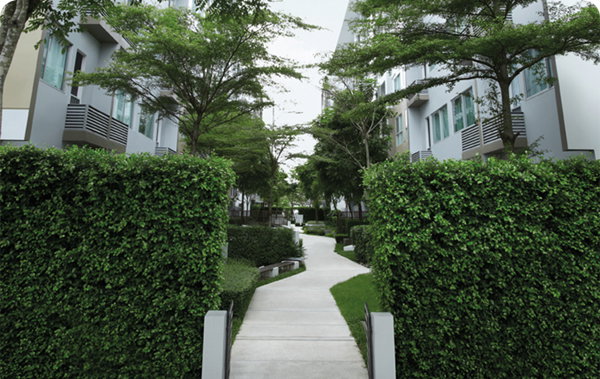picture Exceptional Investment Opportunity | Spacious 32 SQ.M. Condo with Tenant | A Space Sukhumvit 77 | Only THB 1.25 Million - 7/12