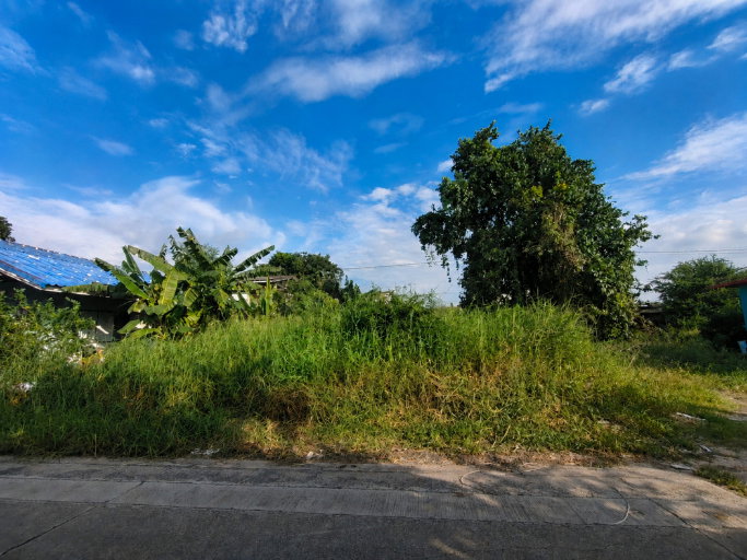 รูป ขายที่ดินเปล่าถมแล้ว ซอยสนเพชร-บางกรวย เนื้อที่ 99 ตร.ว. แปลงสวยไซส์กำลังดี เหมาะสร้างบ้านพักอาศัย - รูปที่ 3/4
