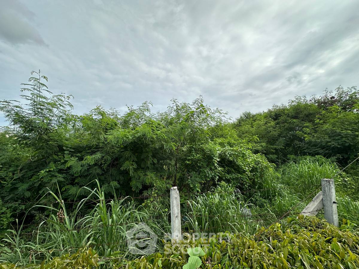รูป ที่ดินขาย ในเขตประเวศ ใกล้ ARL บ้านทับช้าง กรุงเทพมหานคร (ID 3110768) - รูปที่ 5/5
