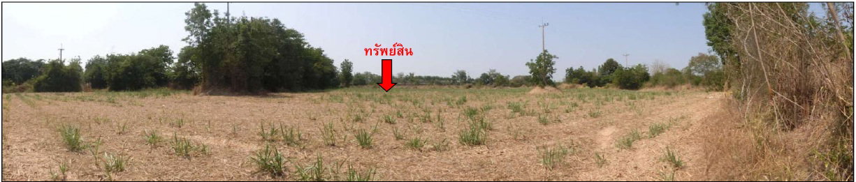 รูป ที่ดินพร้อมสิ่งปลูกสร้าง 35967 ตร.วา อำเภอลำปลายมาศ จังหวัดบุรีรัมย์ 26.8M - รูปที่ 6/15