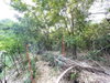 listing thumbnail image 22