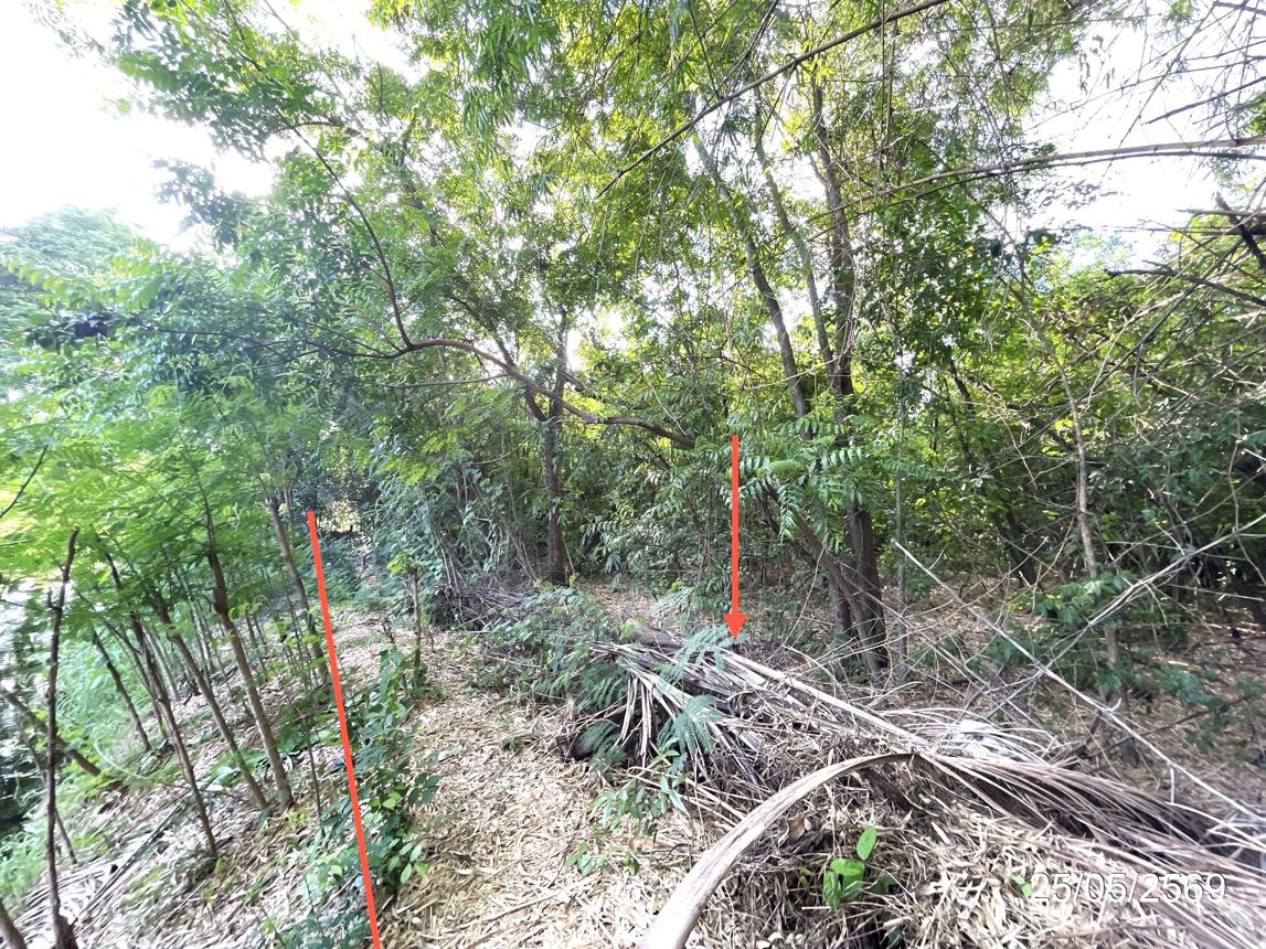 รูป ที่ดินว่างเปล่า 2134.8 ตร.วา วิเชียรบุรี เพชรบูรณ์ 5.6M - รูปที่ 23/30
